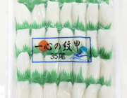 紋甲イカフィーレ
